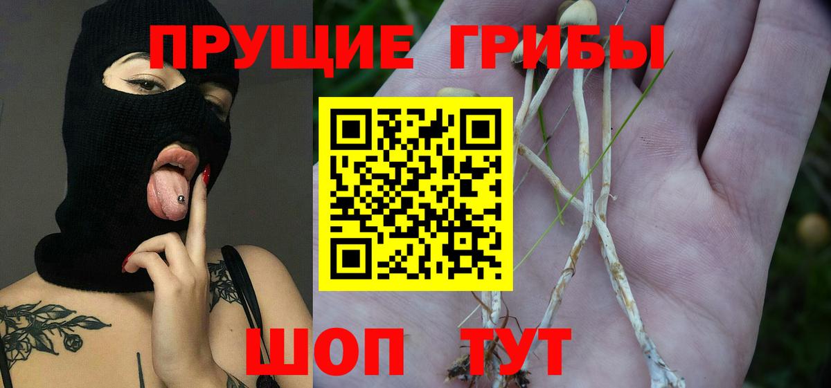 Ипатово  Галлюциногенные грибы Psilocybe  Вход с VPN  где купить наркотик  Галлюциногенные грибы Cubensis 