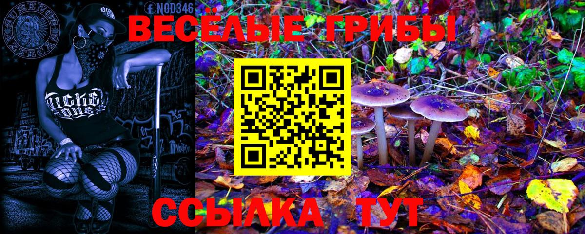 Псилоцибиновые грибы ЛСД Ипатово